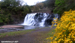 日光・鬼怒川温泉の格安宿がおすすめする観光名所　龍門の滝
