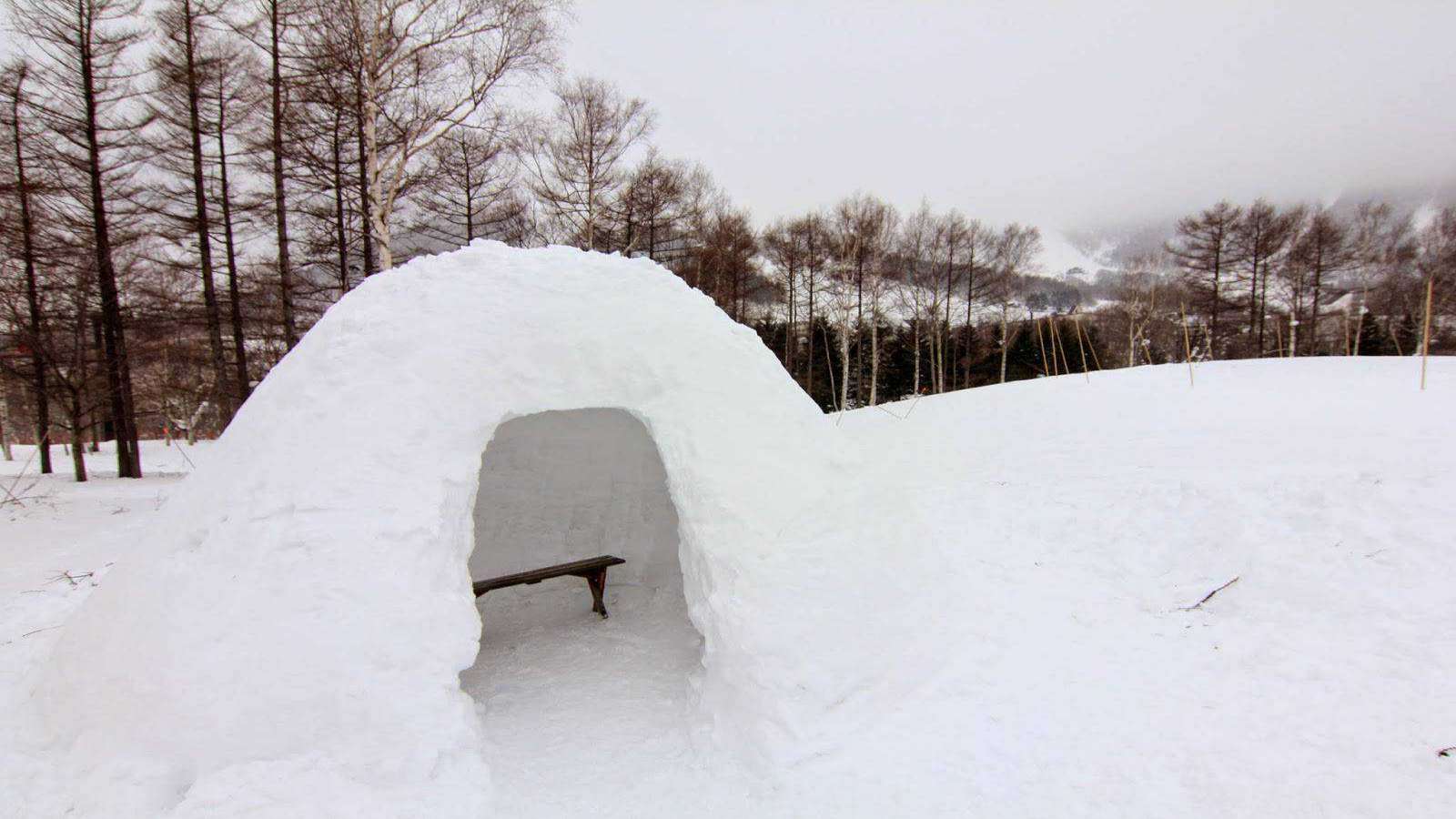 日光・鬼怒川温泉にあった格安宿の雪遊び